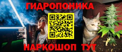 дмт Тверь