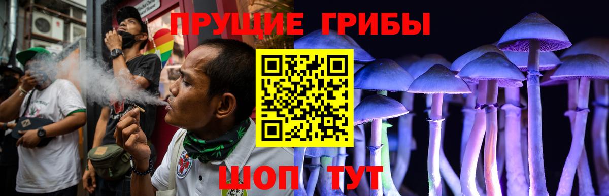 Можайск  Псилоцибиновые грибы Psilocybe  Вход с VPN  Галлюциногенные грибы мицелий 